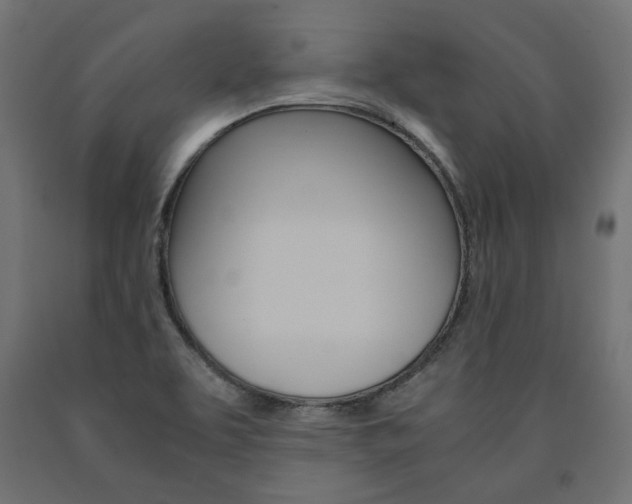 X0000091011463200708021356
