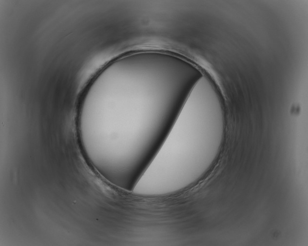 X0000091011464200708021356