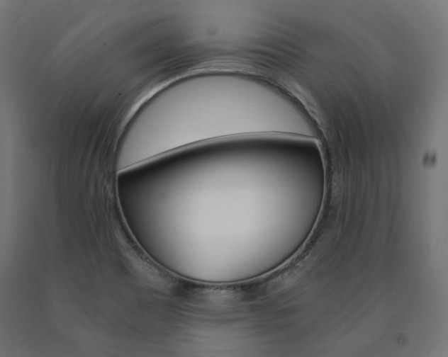 X0000091011465200708021356