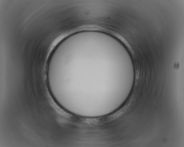 X0000091011466200708021356
