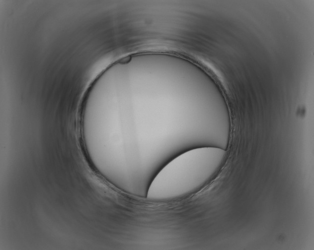 X0000091011467200708021356