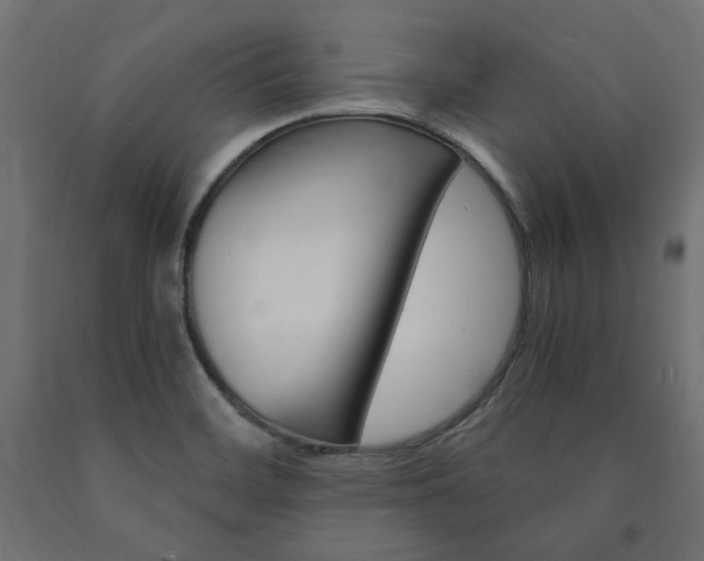 X0000091011468200708021356
