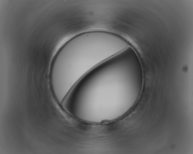 X0000091011469200708021356