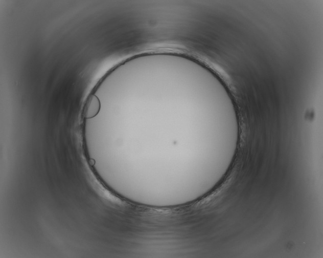 X0000091011470200708021356