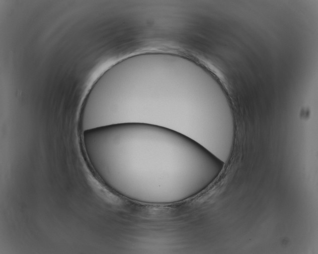 X0000091011471200708021356
