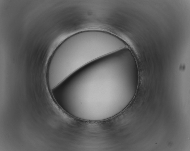 X0000091011472200708021356