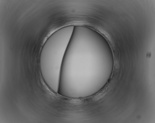X0000091011473200708021356
