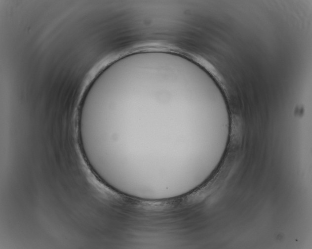 X0000091011474200708021356