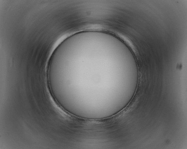 X0000091011475200708021356