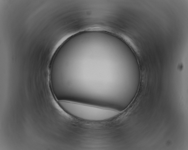 X0000091011476200708021356