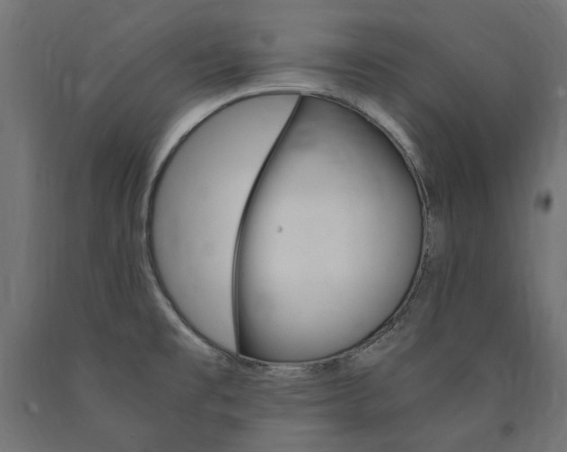 X0000091011477200708021356