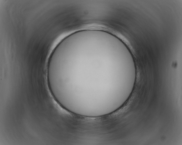 X0000091011478200708021356