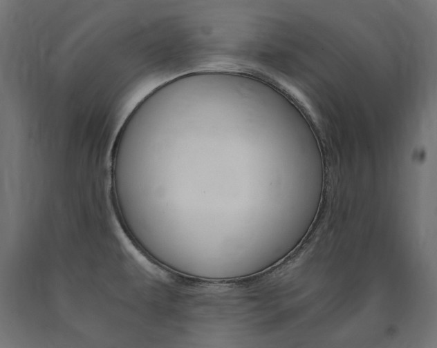 X0000091011479200708021356