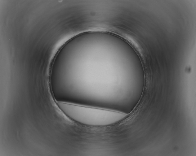 X0000091011480200708021356