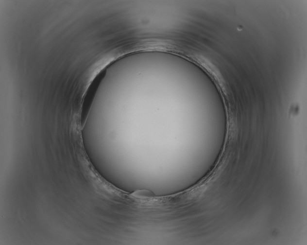 X0000091011481200708021356