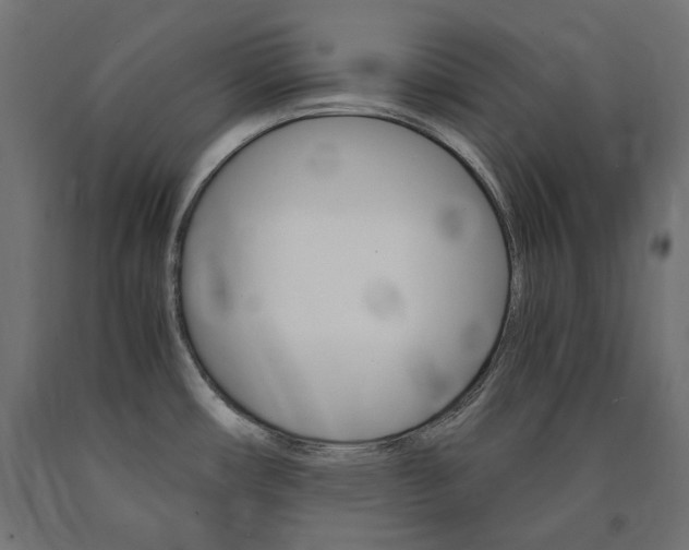 X0000091011482200708021356