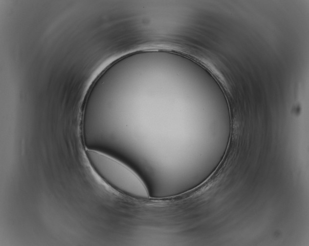 X0000091011484200708021356