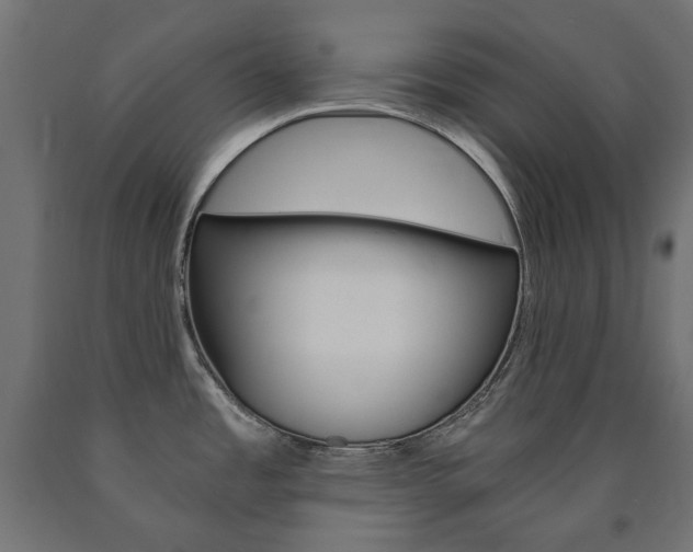 X0000091011485200708021356