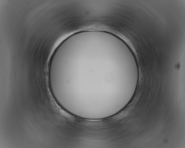 X0000091011486200708021356