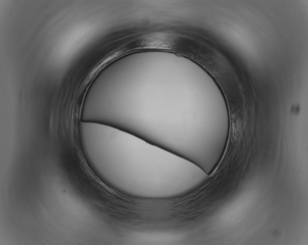 X0000091011487200708021356