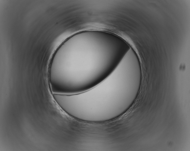 X0000091011488200708021356
