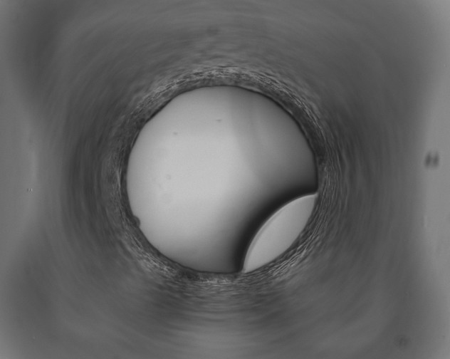 X0000091011489200708021355