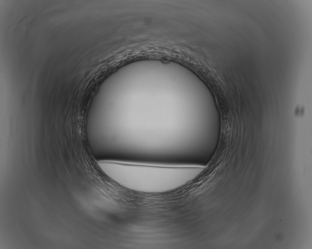 X0000091011490200708021355