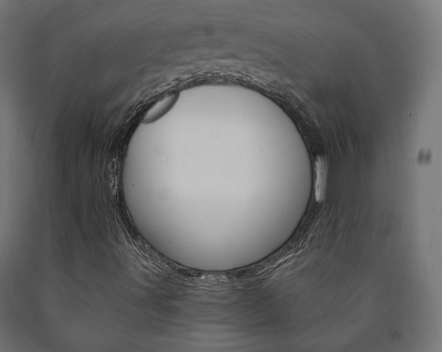 X0000091011491200708021355
