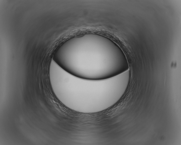 X0000091011492200708021355