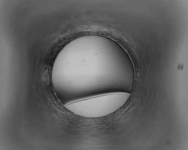 X0000091011493200708021355