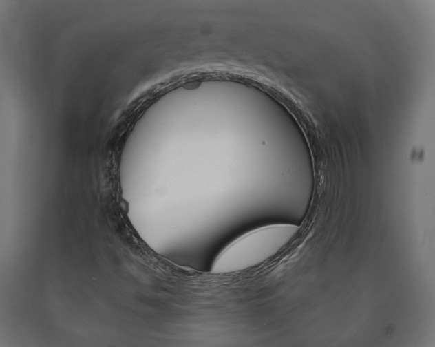 X0000091011494200708021355