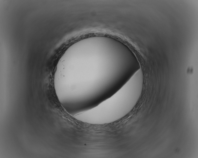 X0000091011495200708021355