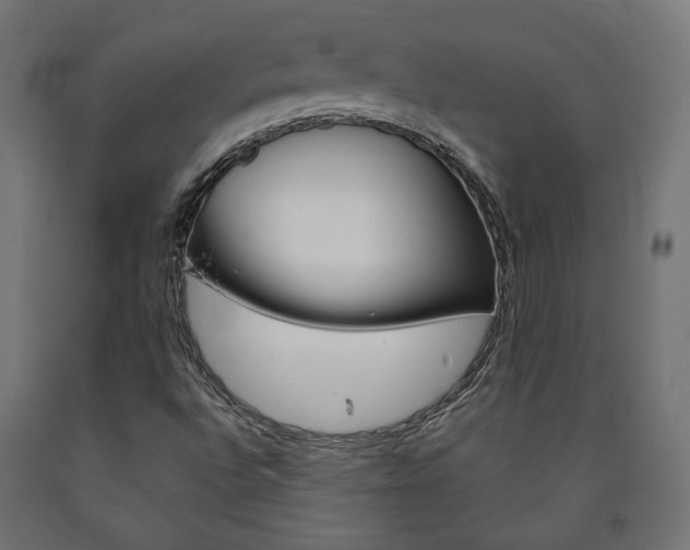X0000091011496200708021355
