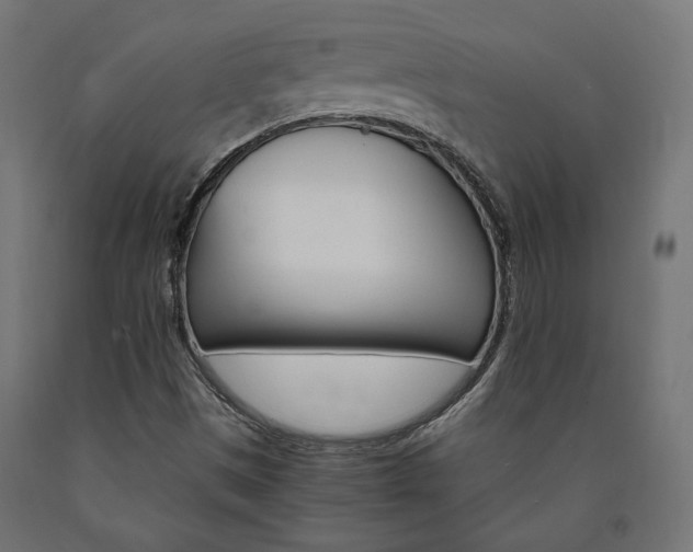 X0000091011497200708021355