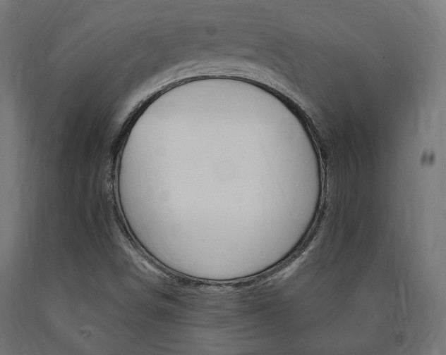 X0000091011498200708021355