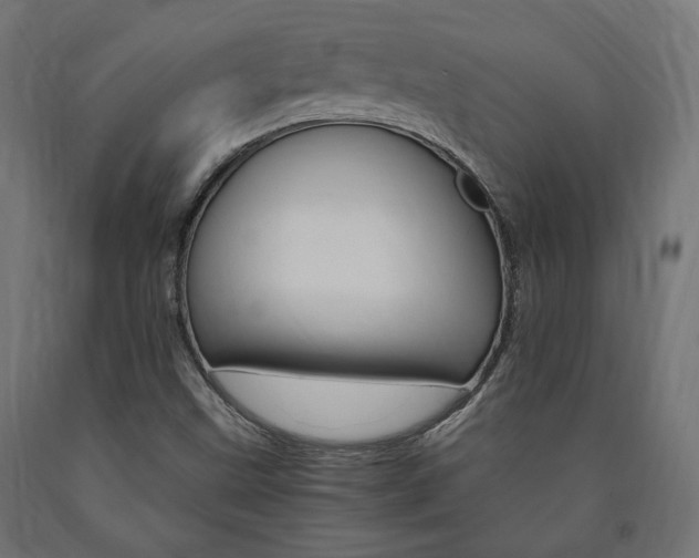 X0000091011499200708021355