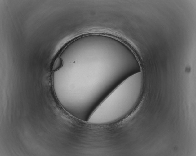 X0000091011501200708021355
