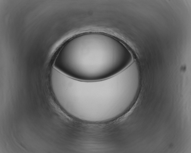 X0000091011502200708021355