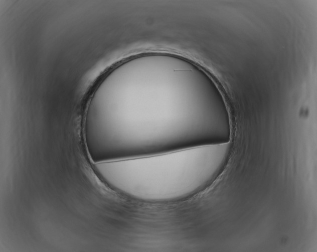 X0000091011503200708021355