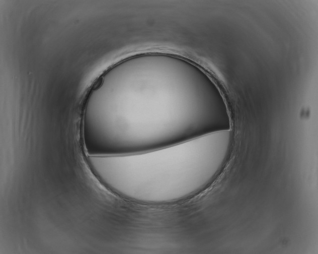 X0000091011504200708021355