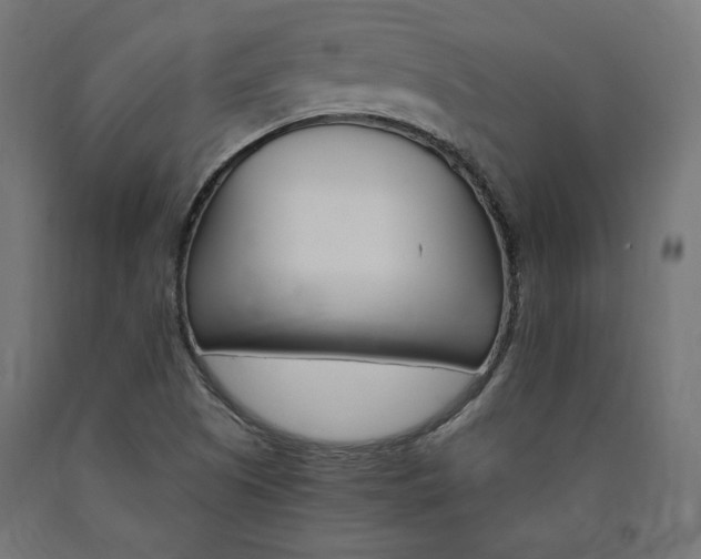 X0000091011505200708021355
