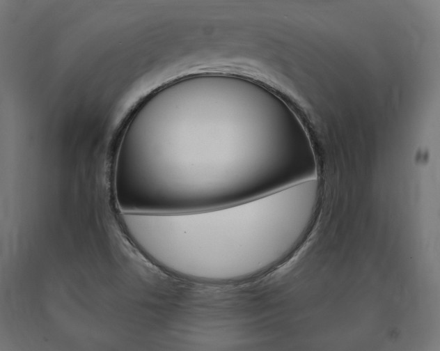 X0000091011506200708021355