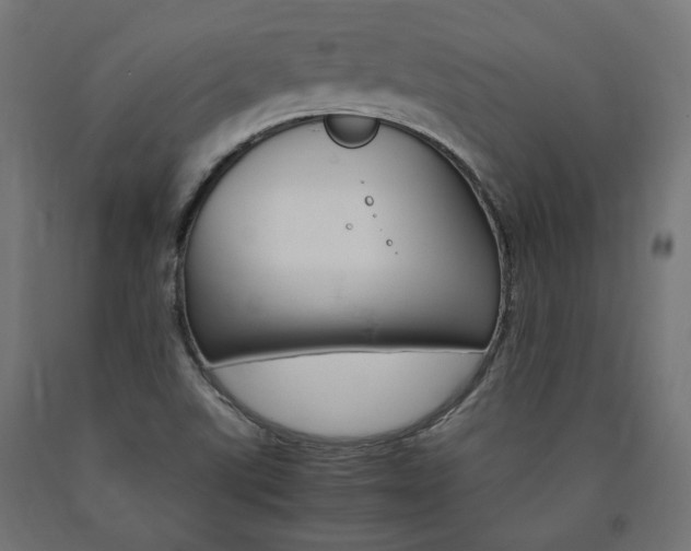 X0000091011507200708021355