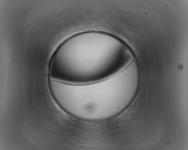 X0000091011508200708021355
