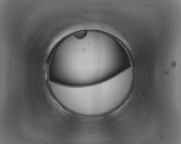 X0000091011510200708021355