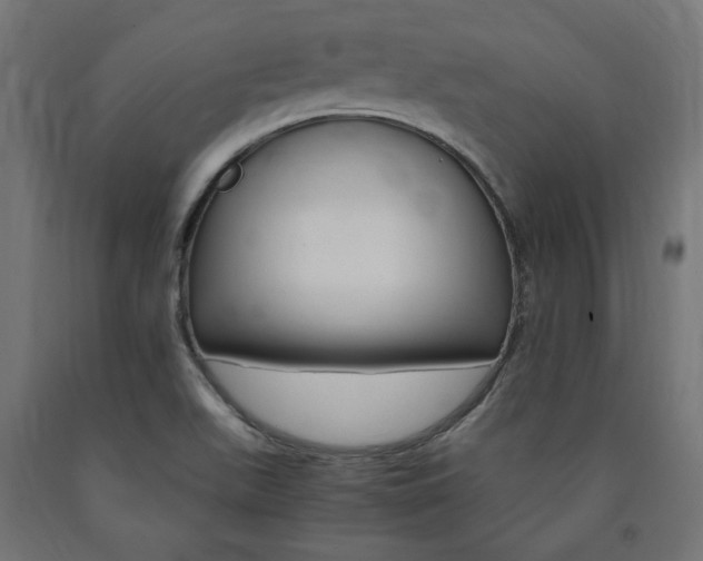 X0000091011511200708021355