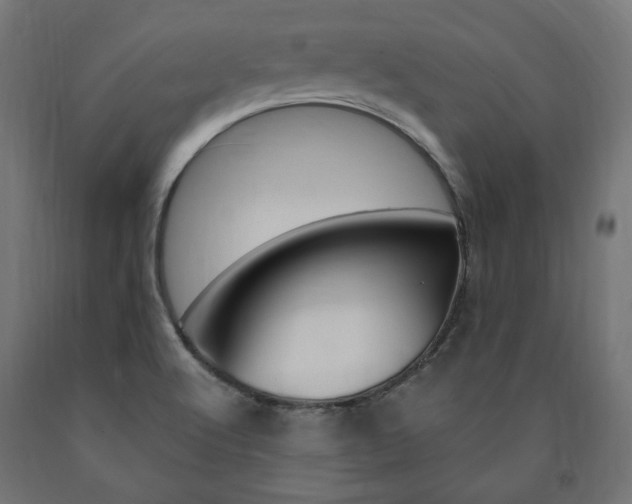 X0000091011512200708021355