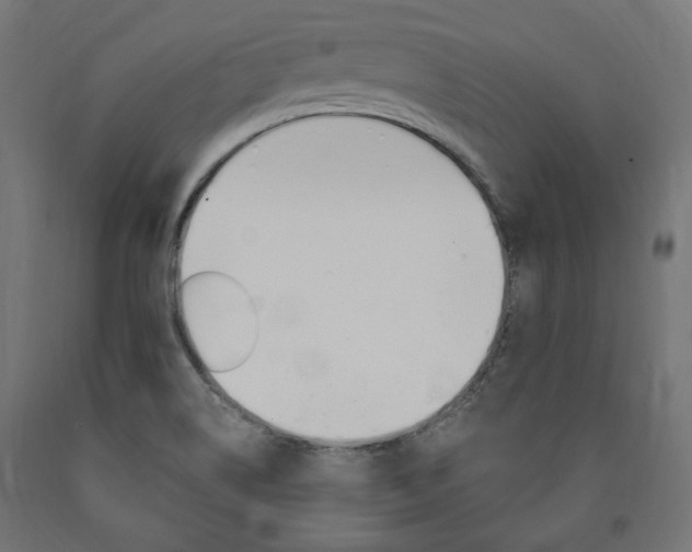 X0000091011514200708021355