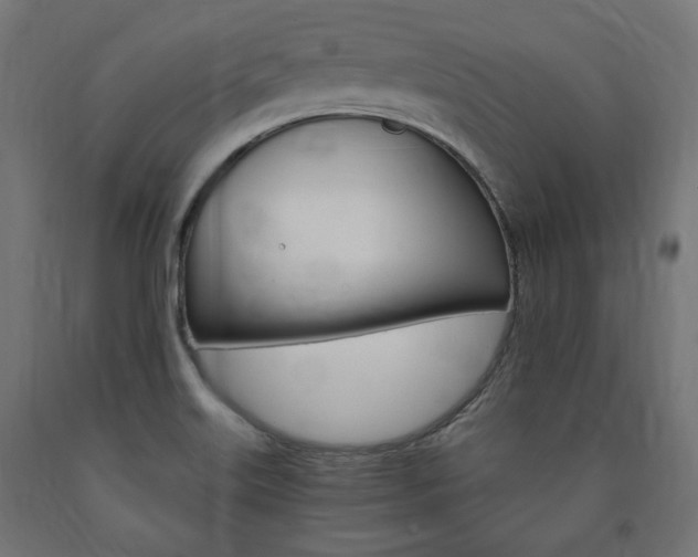 X0000091011515200708021355