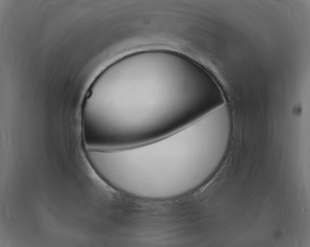X0000091011516200708021355